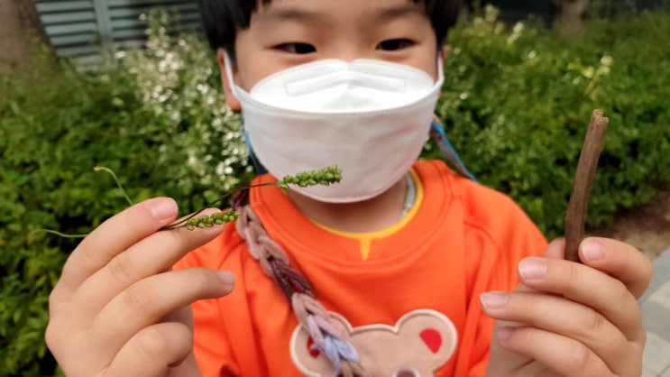  선생님놀이 : 7짤이 김선생님의 숲체험 시간