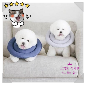  아르르 넥카라 후기!