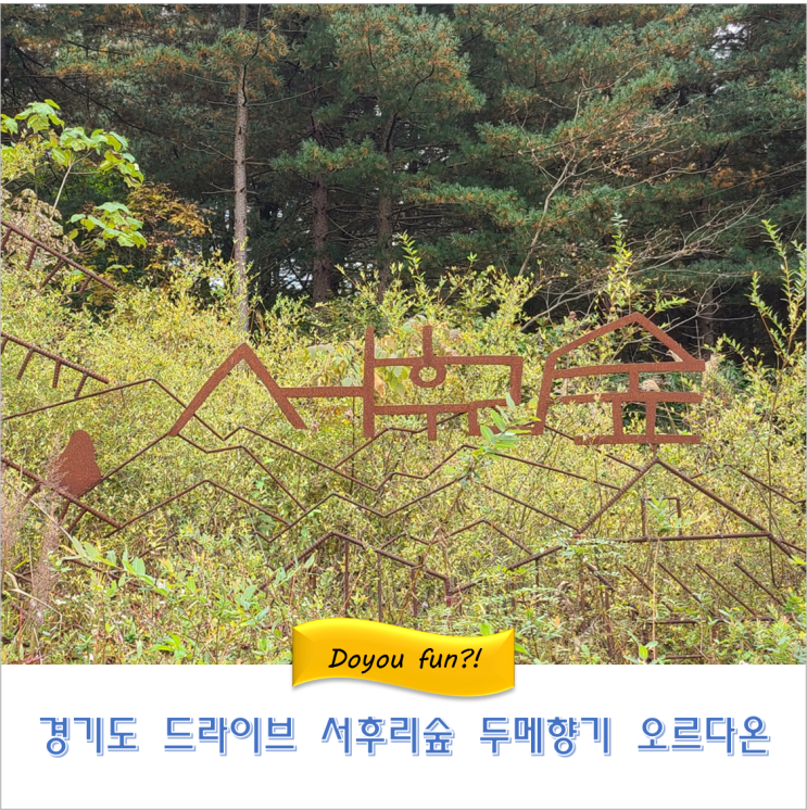 서울근교나들이  양평 두메향기 오르다온  서후리숲