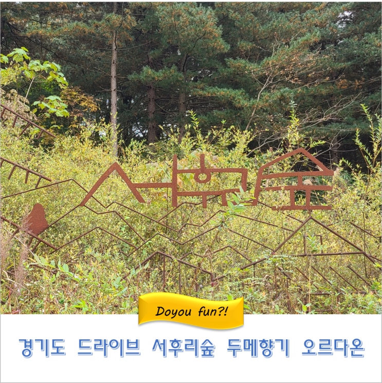  서울근교나들이  양평 두메향기 오르다온  서후리숲