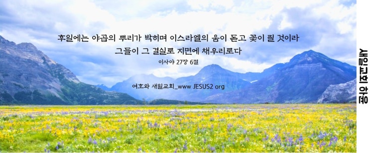 새일교회 | 서방에 선교 개척 새일교회 | 서방에 선교 개척