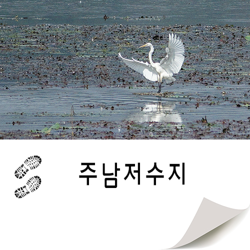  생태학습이 가능한 가족 나들이 추천 장소 주남저수지
