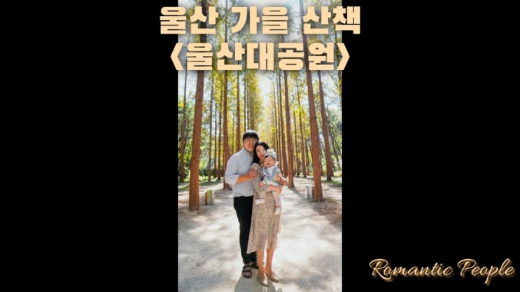 울산 가을 단풍 산책<울산대공원/메타세콰이아길> 울산 가을 단풍 산책<울산대공원/메타세콰이아길>