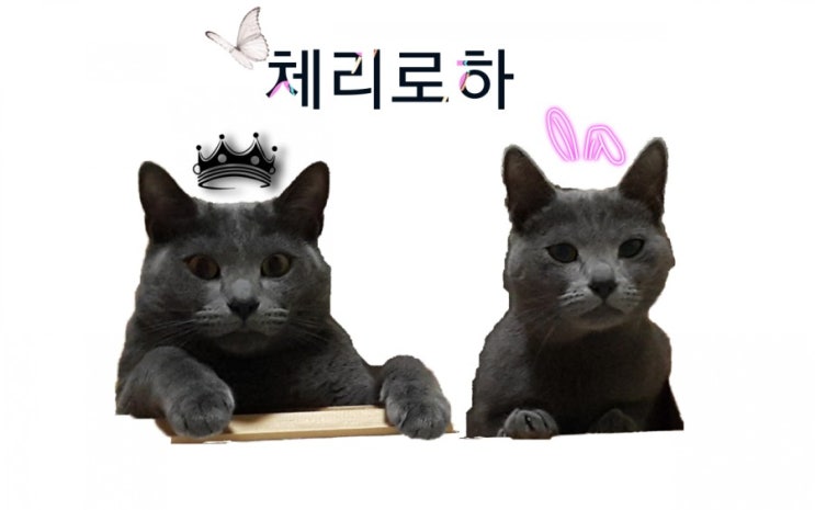  충주 노은지 낚시터로 또 다녀올게여