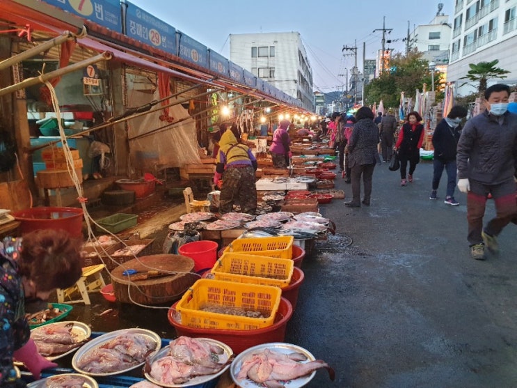  마산어시장 경매 공판장 새벽시장,회포장 맛집 & 수산물 장보기