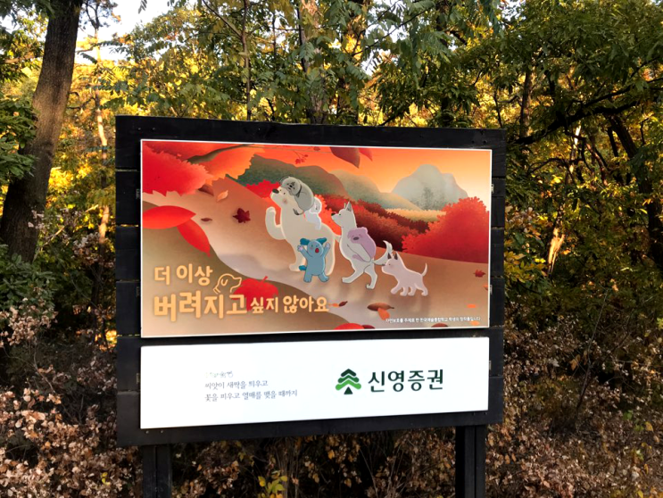  도봉산에 가서 복잡한 머릿속을 비우고 왔어요