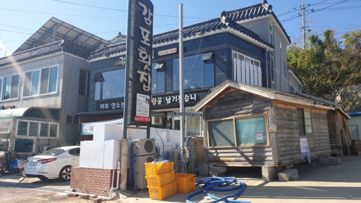  가을여행 경주추천/회맛집 경주감포횟집/나정고운모래해수욕장