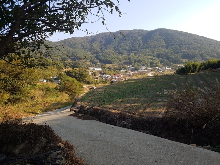  매물번호:310번(고현면 남치리)