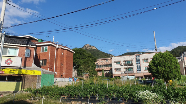  안산 수암봉 등산하기, 수암산 공용주차장 요금 안내