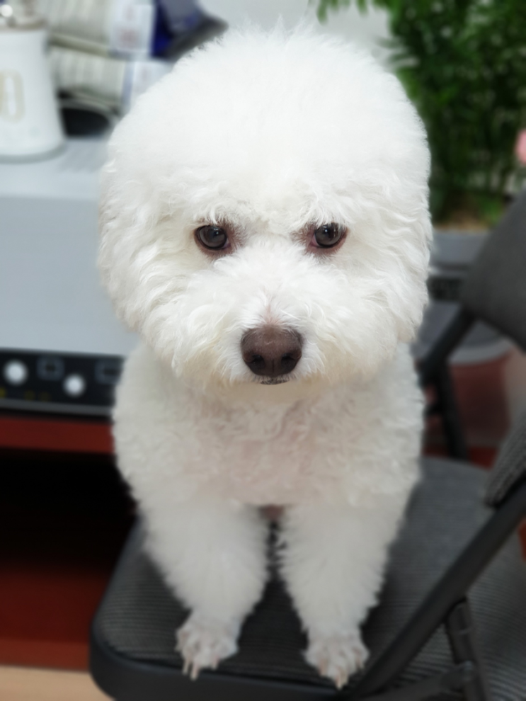 네이티브 스피커는 "이따가, 얼마 전에, 후에, 나중에, 아까"를 어떻게 말할까? 네이티브 스피커는 "이따가, 얼마 전에, 후에, 나중에, 아까"를 어떻게 말할까?