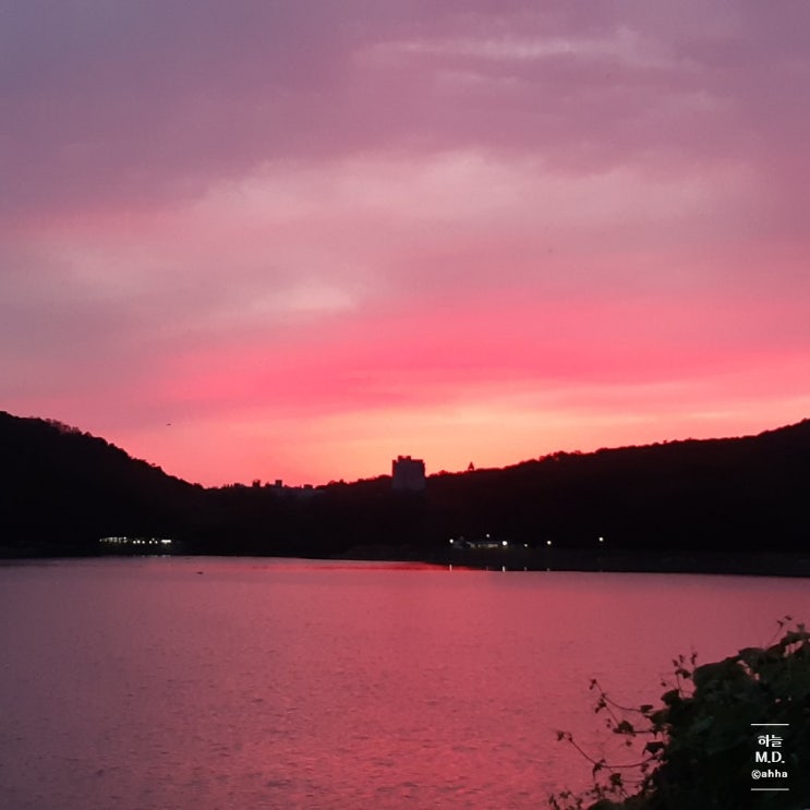  기흥호수공원 노을 볼래요?