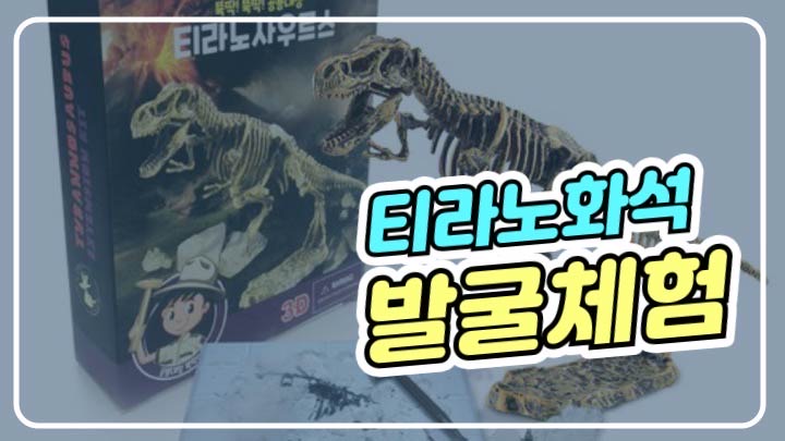 [후기] 티라노 화석 발굴 키트_뚝딱! 뚝딱! 공룡대장 티라노사우루스