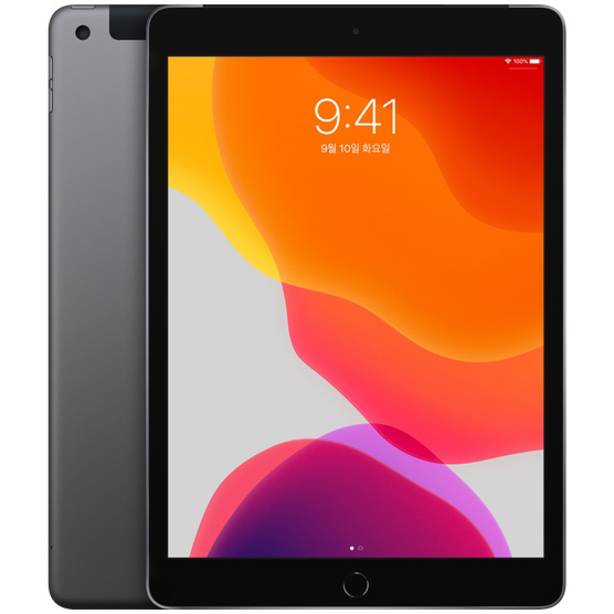 Apple 2019년 iPad 10.2 7세대, Wi-Fi+Cellular, 128GB, Space Gray