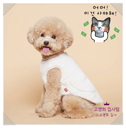  댕댕이들 겨울 산책! 플로트 후리스로 인싸 되세염~
