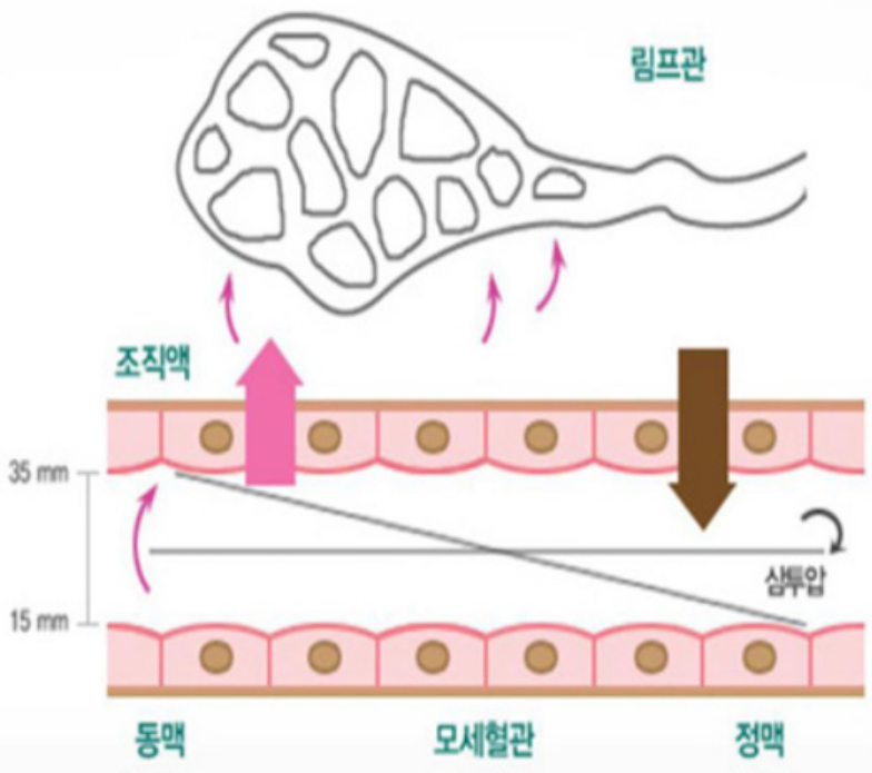 [온몸이 부어요] 부종의 원인, 부종 환자에게 어떻게 접근해야 할까? : 네이버 블로그