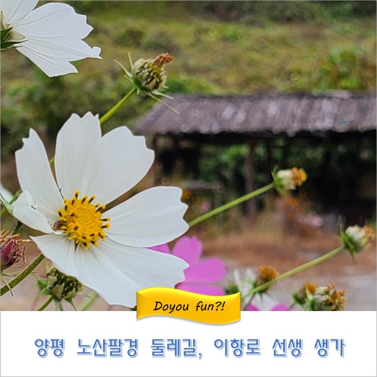  양평두물머리  노산팔경 둘레길 이항로생가