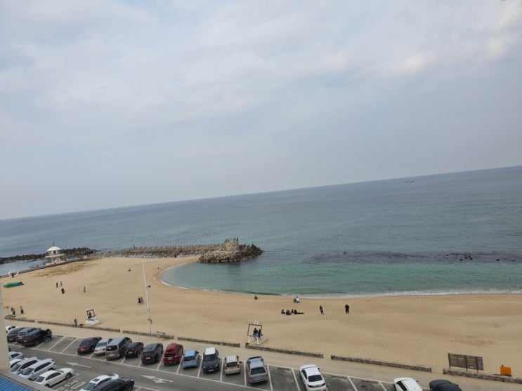  강릉 먹을거리 여행, 중앙시장 간식 맛집 대게고로케 순두부와플