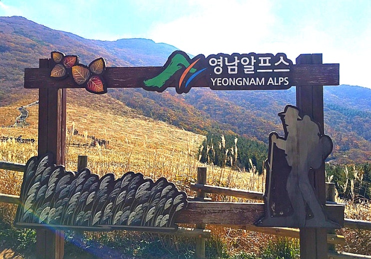  [가을등산의꽃 , 울산등산하기좋은곳] 간월재억새평원 초급자코스