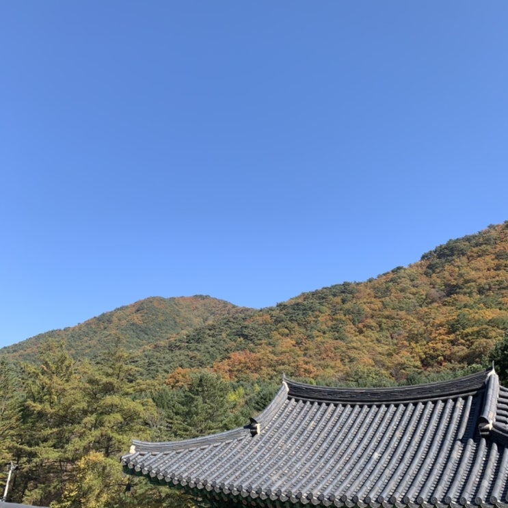 단풍구경) 치악산 단풍구경) 치악산