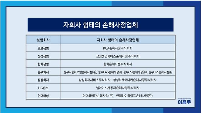 보험사 손해사정 규제 '구멍'..."셀프 처리 관행 만연" 보험사 손해사정 규제 '구멍'..."셀프 처리 관행 만연"