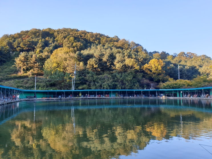  시흥 산정낚시터(풍경좋은 손맛터 추천!)