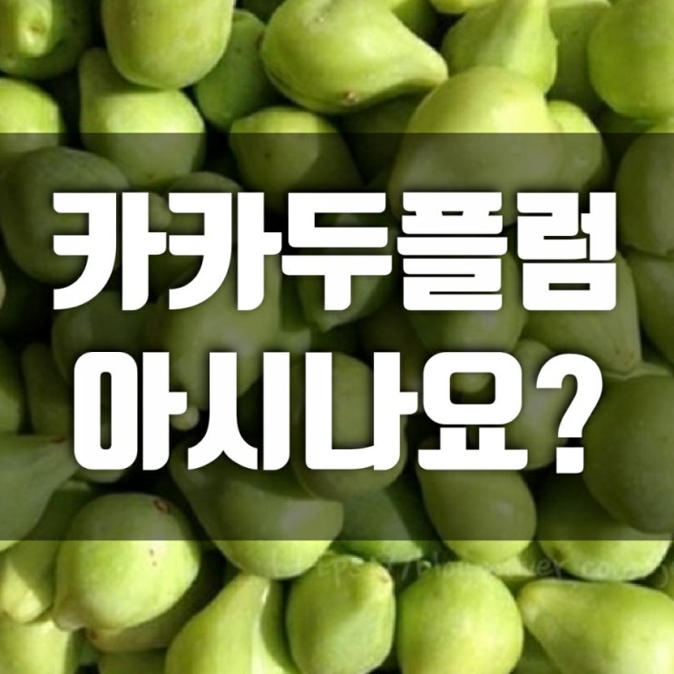 카카두플럼 효능 확인하고 호주산 100%정품 구입하기 카카두플럼 효능 확인하고 호주산 100%정품 구입하기