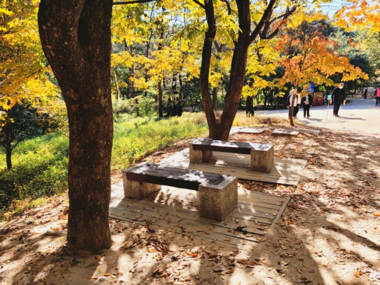 "김포장릉" 단풍구경하기 좋은 산책코스 명소 "김포장릉" 단풍구경하기 좋은 산책코스 명소