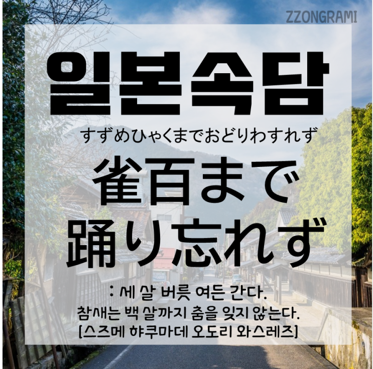 [일본어 공부] 일본 속담 : 참새는 백 살까지 춤을 잊지않는다! 귀여운 이 속담, 한국에서는?