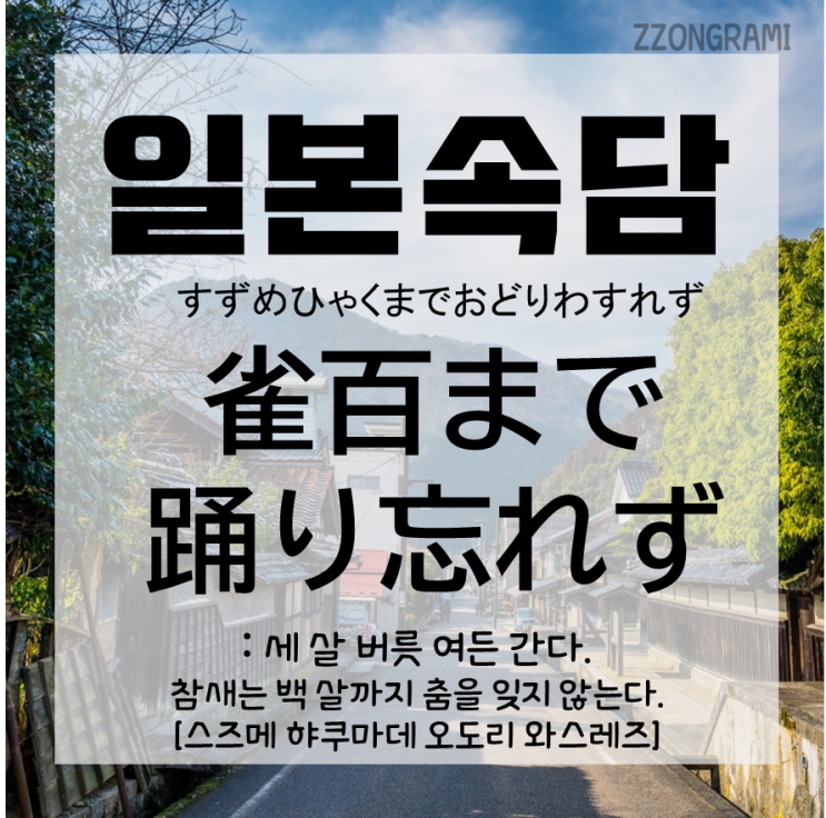  [일본어 공부] 일본 속담 : 참새는 백 살까지 춤을 잊지않는다! 귀여운 이 속담, 한국에서는?