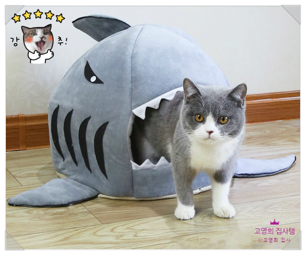  고양이가 상어에게 잡혀먹히면? 고양이 상어 숨숨집~
