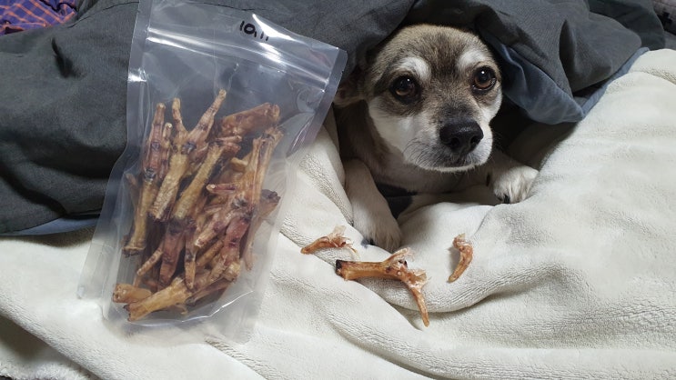  강아지 관절튼튼 간식 토종닭발 기호성은요?