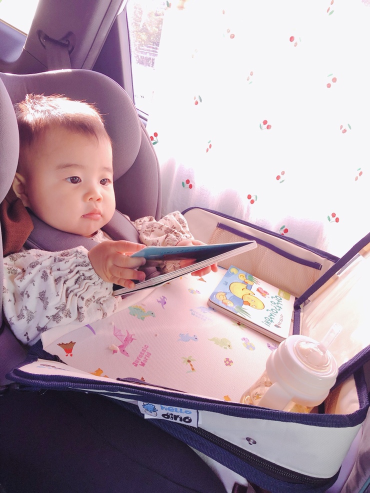  돌아기 카시트거부 극복방법 카시트트레이 헬로디노 카시트테이블 실제구매후기