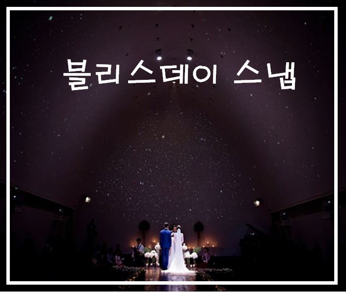  결혼 준비 대전 블리스데이 스냅