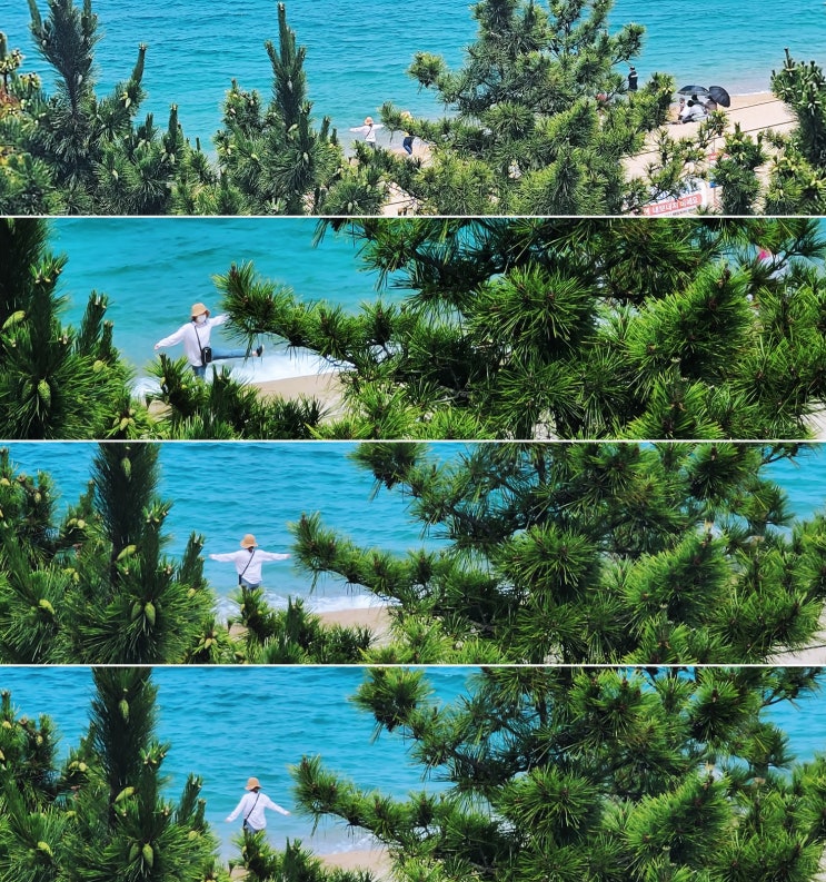 고성해수욕장 / 속초 고속버스터미널 / 다시 서울로 (Feat. 프리미엄 버스) 가볼만한 국내여행지 추천! 고성해수욕장 / 속초 고속버스터미널 / 다시 서울로 (Feat. 프리미엄 버스) 가볼만한 국내여행지 추천!