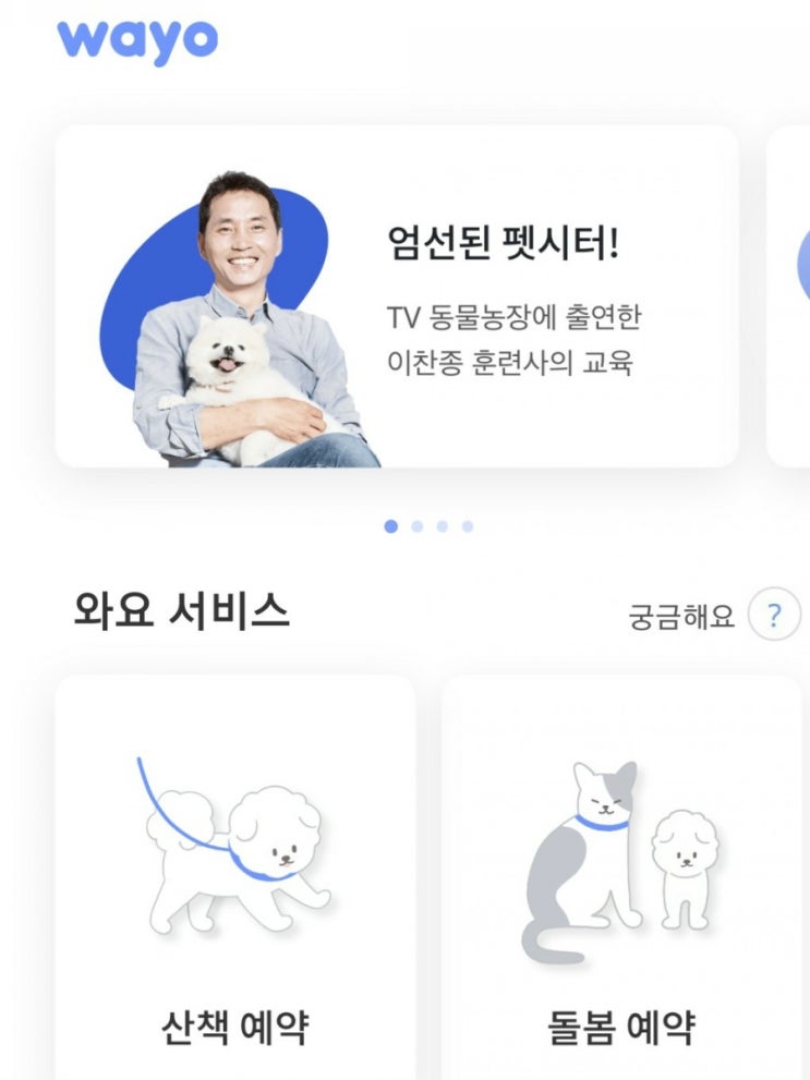 고양이 펫시터 와요를 이용해 봤어요.