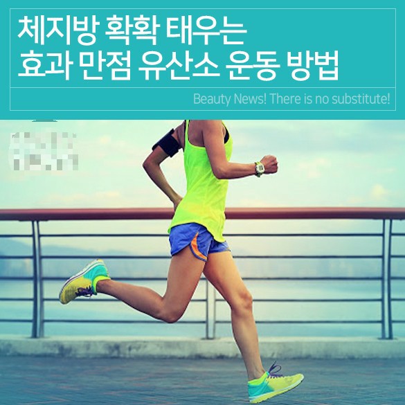 체지방 확확 태우는 유산소운동 만점 방법! 힙,엉덩이,상체운동,덤벨, 전신 운동법을 소개합니다~ 체지방 확확 태우는 유산소운동 만점 방법! 힙,엉덩이,상체운동,덤벨, 전신 운동법을 소개합니다~