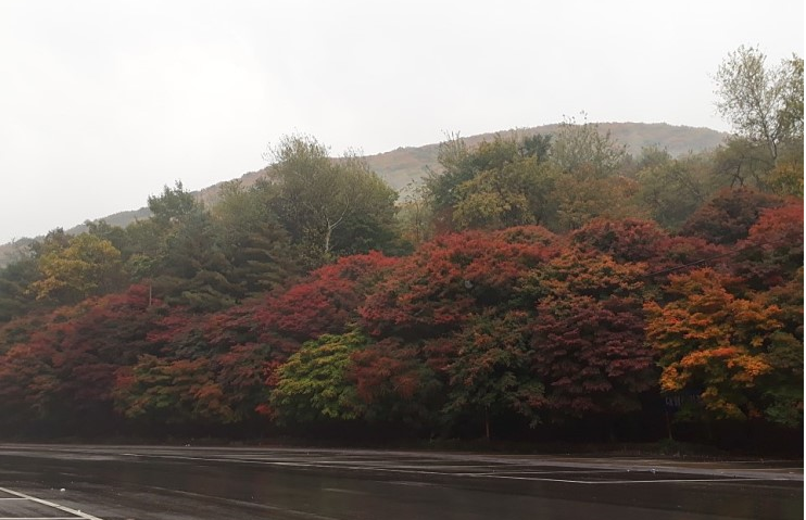 가을 산행 가을 산행
