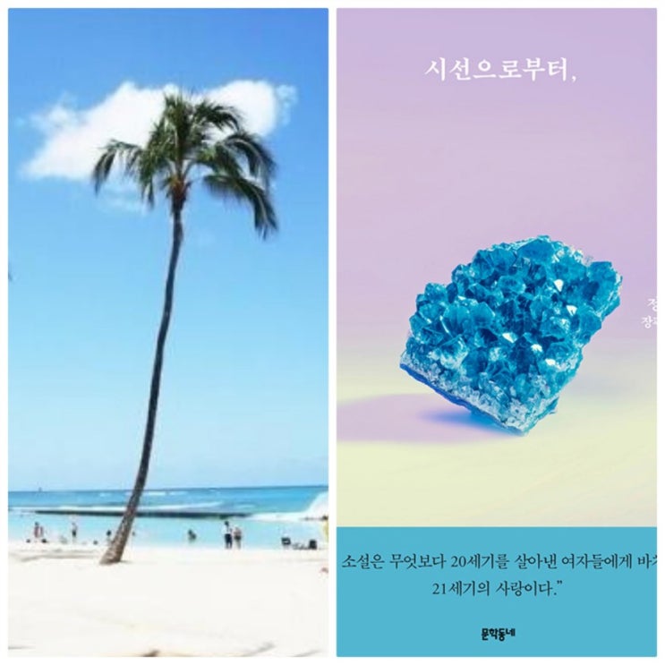  시선으로부터(정세랑) 책 리뷰,가고싶다 하와이! 만나고싶다 심시선 패밀리