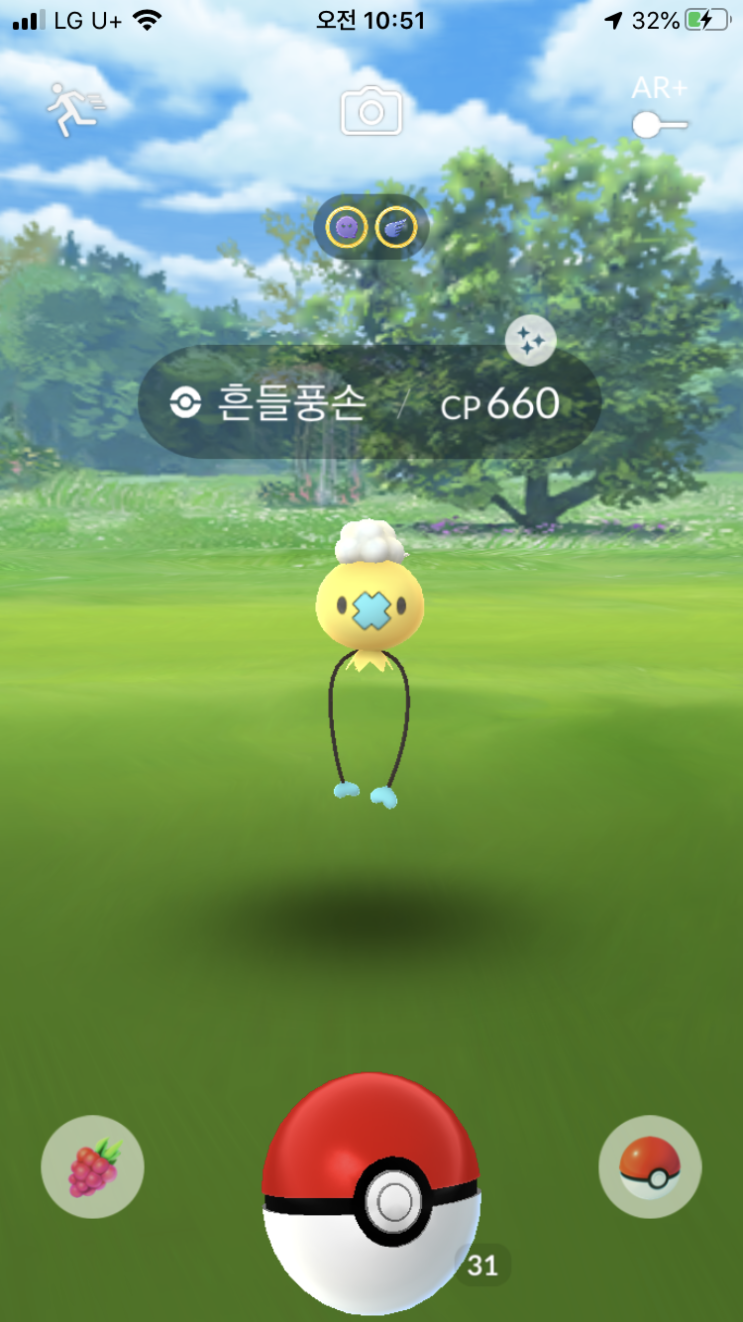  흔들풍손 이로치