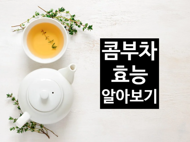  콤부차 효능 정리해보았어요