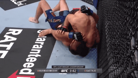 UFC 254: 하빕 vs 게이치 리뷰(GIF) - 전설로 떠난 옥타곤의 영웅