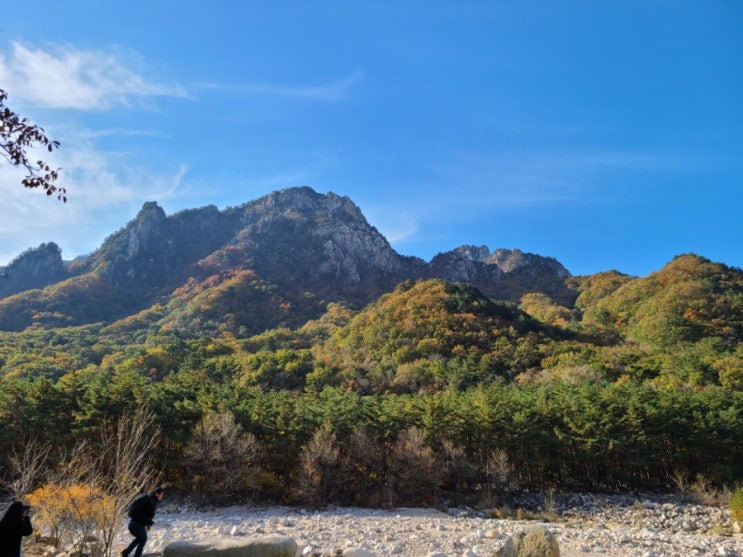  설악산 단풍 케이블카 타고 산책하기 (주차꿀팁!)
