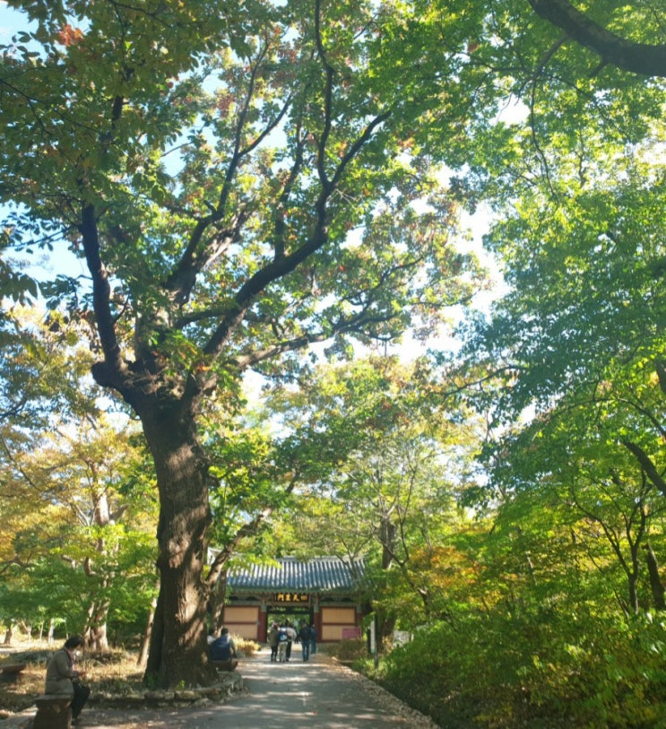 [공주/계룡산/맛집] 갑사 단풍구경 맛집. 한식대첩에서 우승한 수정식당 :)!!