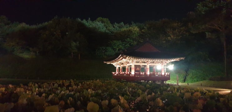 [부여] 낭만이 가득한 백제의 밤, 백제문화단지 야간개장