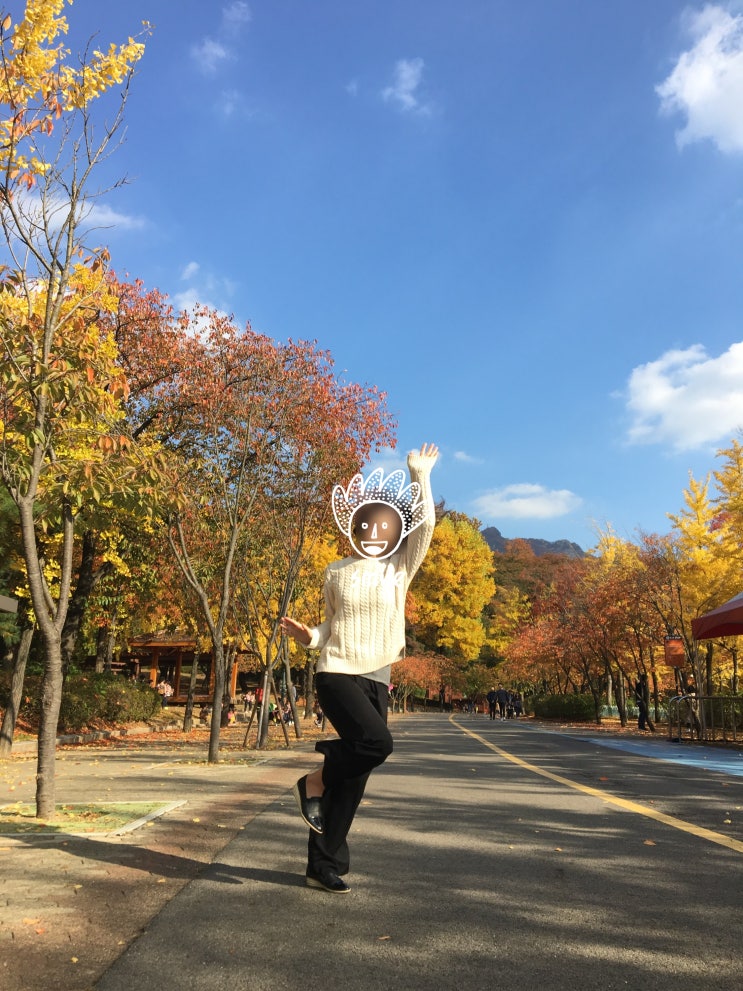  가족과 함께한 10월의 어느 멋진 날 feat.과천서울대공원 가을 느끼기(가족과 함께 하는 시간, 그 소중함 기억, 기록)