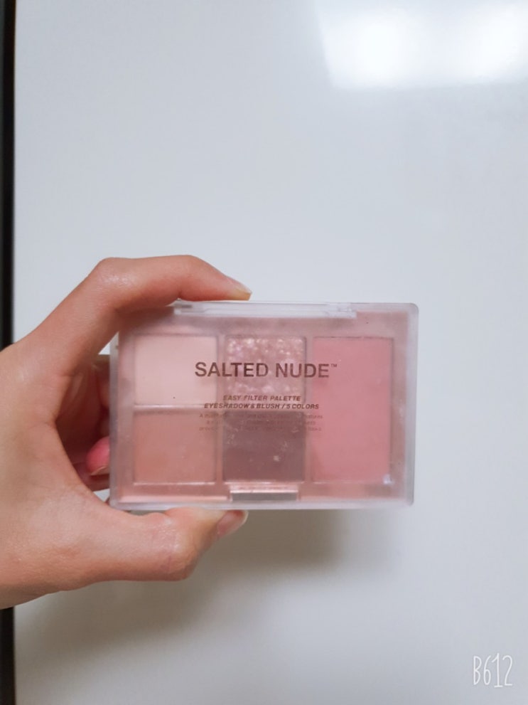  미샤 이지 필터 섀도우 팔레트 salted nude 내돈내산