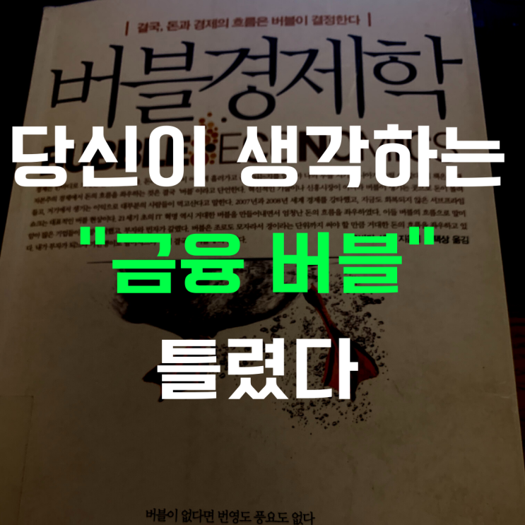  주식시장 버블? 알면 부자 된다(feat. 버블 경제학)