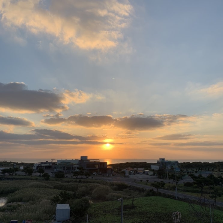  제주도 여행 중 (~10/27)