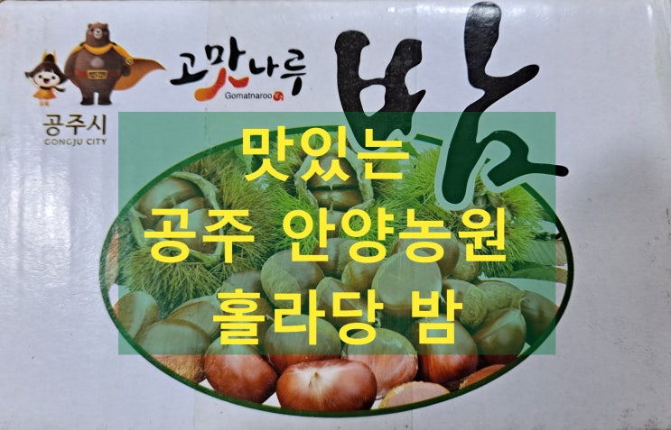  너무너무 먹기 편하고 맛있는 공주 안양농원 홀라당밤 칼집밤(내돈내산 후기)
