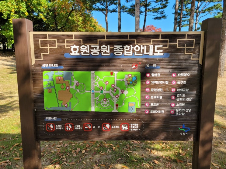  따스한 주말 아침 아들과 나들이. 아이와 가볼만한 곳 : 수원 효원공원.월화원.